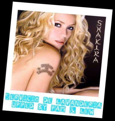 Shakira - Servicio de Lavandería