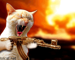 machine-gun-cat-animation.gif