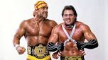 Hogan and Beefcake