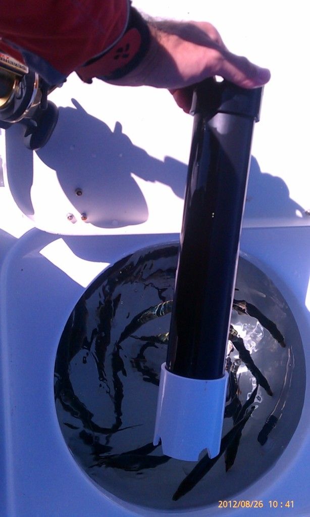 Bait Tank Modifications for Anchovies or Sardines Sea Pro Boat Owners