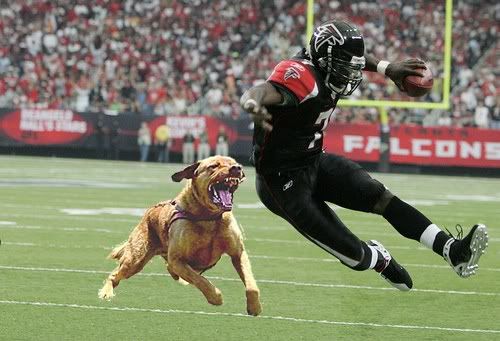Michael Vick Pictures, Images and Photos