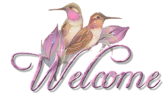 HUMMINGBIRD WELCOME (GLITTER) Pictures, Images and Photos