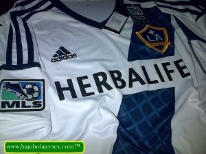 DETAIL-LAGalaxyHome12-13.jpg