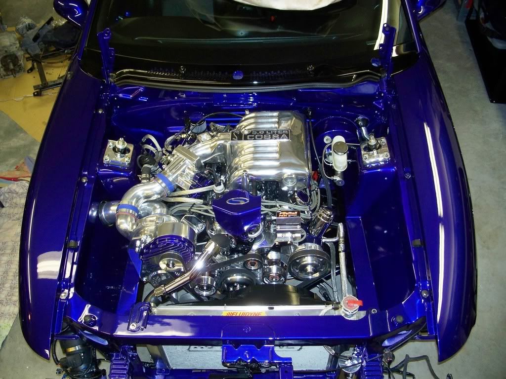 http://i296.photobucket.com/albums/mm175/95steedacobra/Engine%20bay/EngineBayProject357.jpg