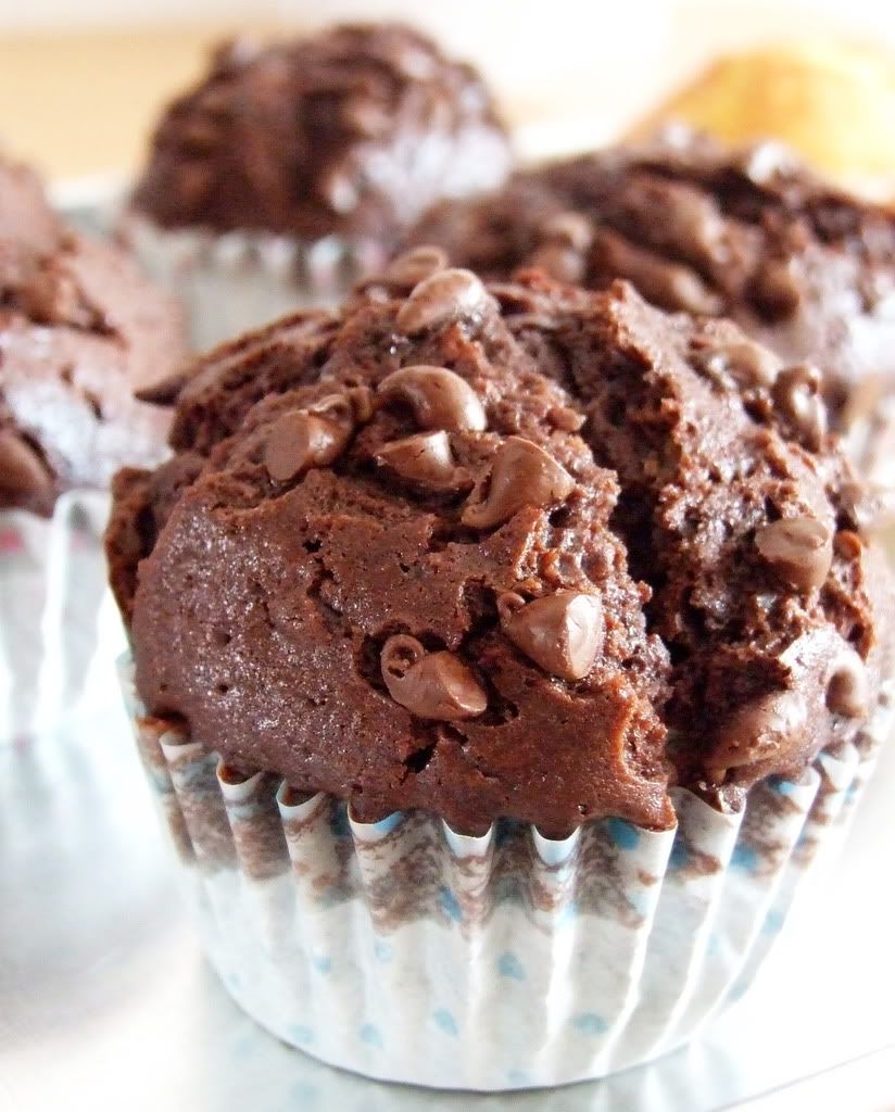 chocolate muffins replica
