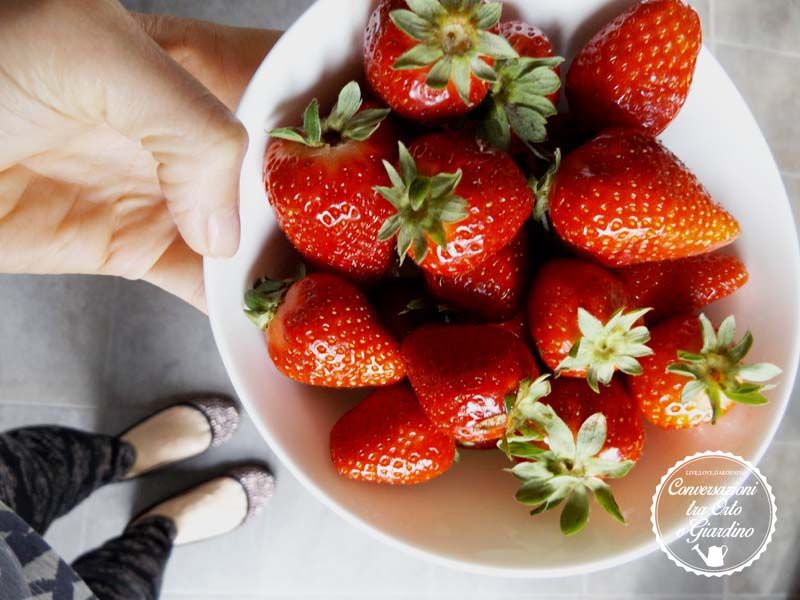 Torta Alle Fragole I Vizi Della Domenica Mattina Conversazioni Tra Orto E Giardino