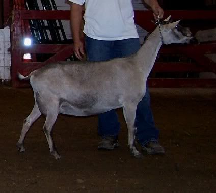 How many breeds do you own? - Goats