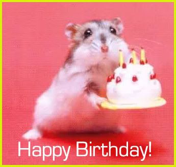 30th Birthday Cakes on Hamster Birthday Cake 1 Year Anniversary