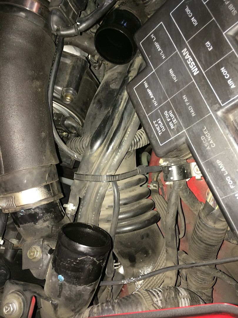  photo 50B1C1ED-BBB2-46E1-B78B-4FC37F2874F3_zpsptde6rqk.jpg