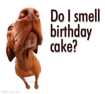 Send Birthday Cake on Do I Smell Birthday Cake Jpg Picture By Cartpembe   Photobucket