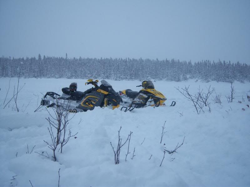 gander newfoundland SkiDoo Snowmobiles Forum