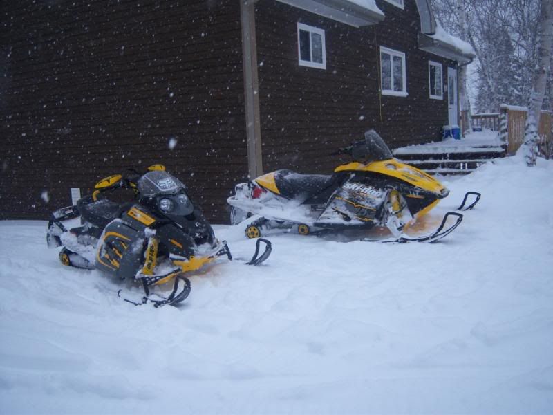 gander newfoundland SkiDoo Snowmobiles Forum