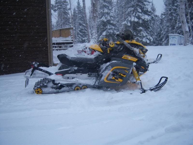 gander newfoundland SkiDoo Snowmobiles Forum