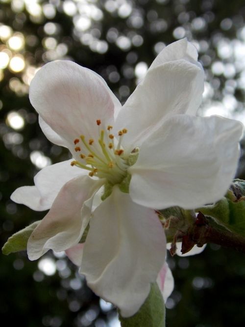 69a8d795-c34e-4125-9fc3-68142c64c5c6_zps