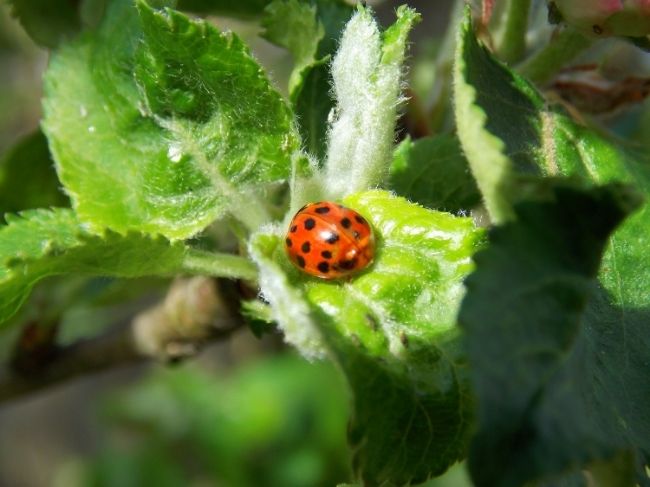 6ec275e8-af36-498d-9b6d-05deb34071fb_zps