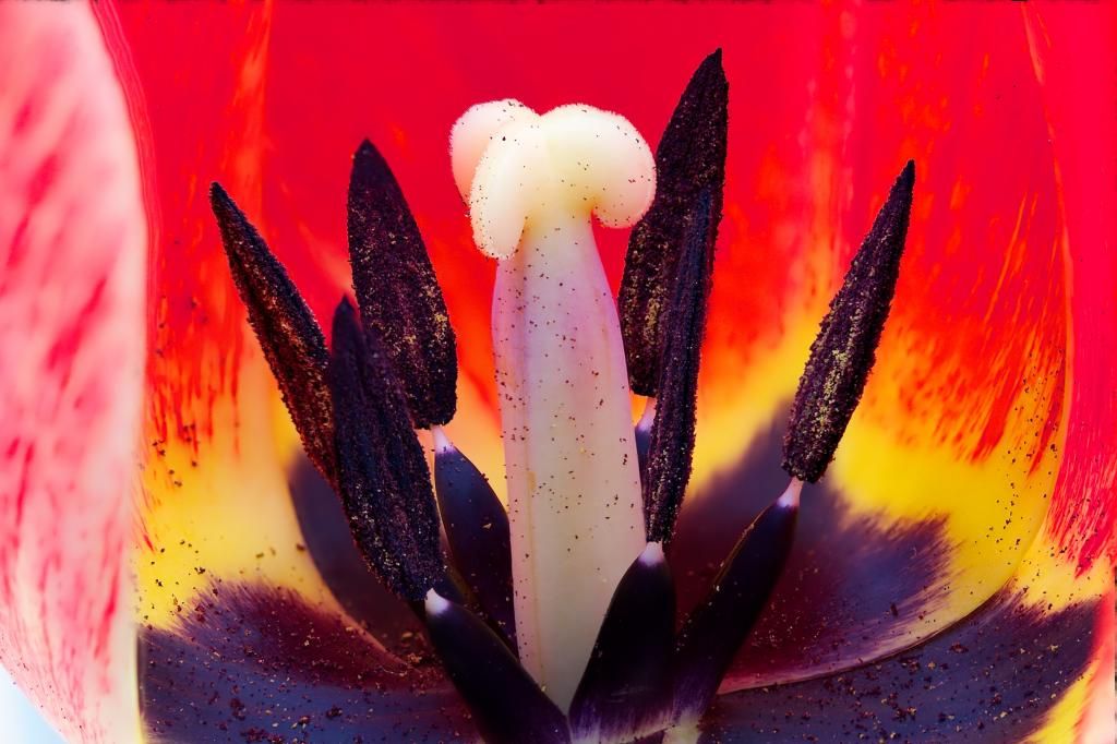 IMAGE: http://i296.photobucket.com/albums/mm187/jhap33/FocusResultA84_zps11e4bba9.jpeg