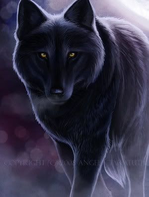 vladswolfform.jpg black wolf image by 17721