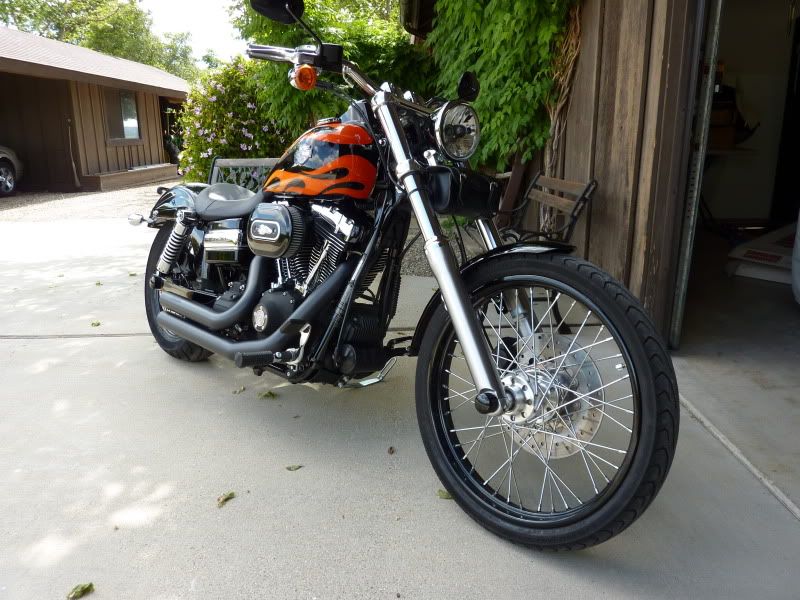 Harley Davidson Fatboy Lowrider. Harley Davidson Forums