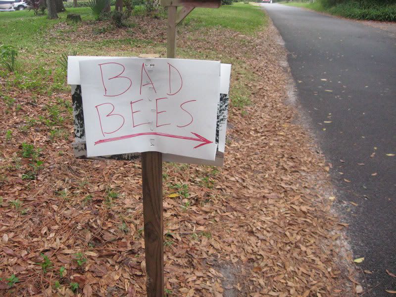 BAD BEES