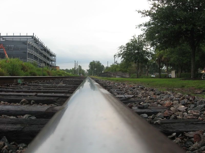 Maitland Train Tracks