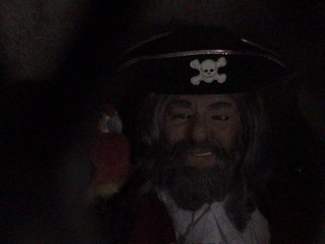 Pirates Cove Captain