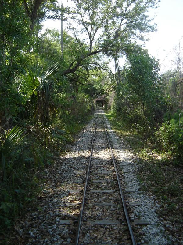 Train Through the Swamp