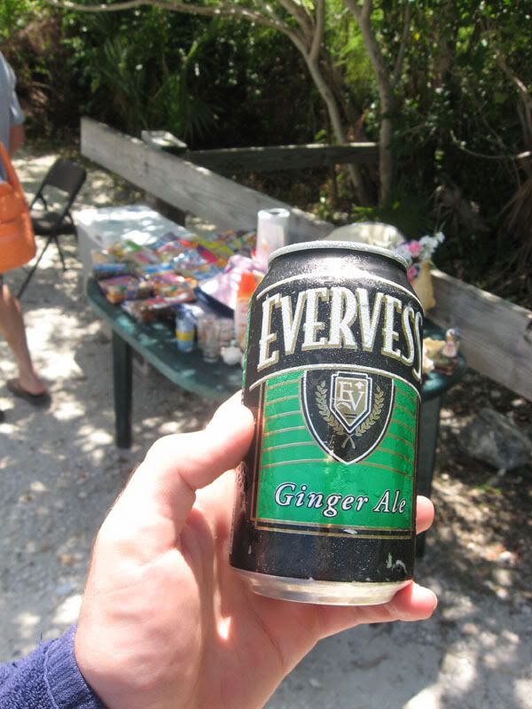 Evervest Ginger Ale