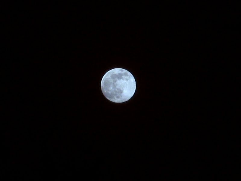 Full Moon- December 11, 2008