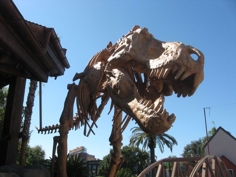 T-Rex Skeleton