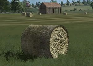 wheat_rolls.jpg