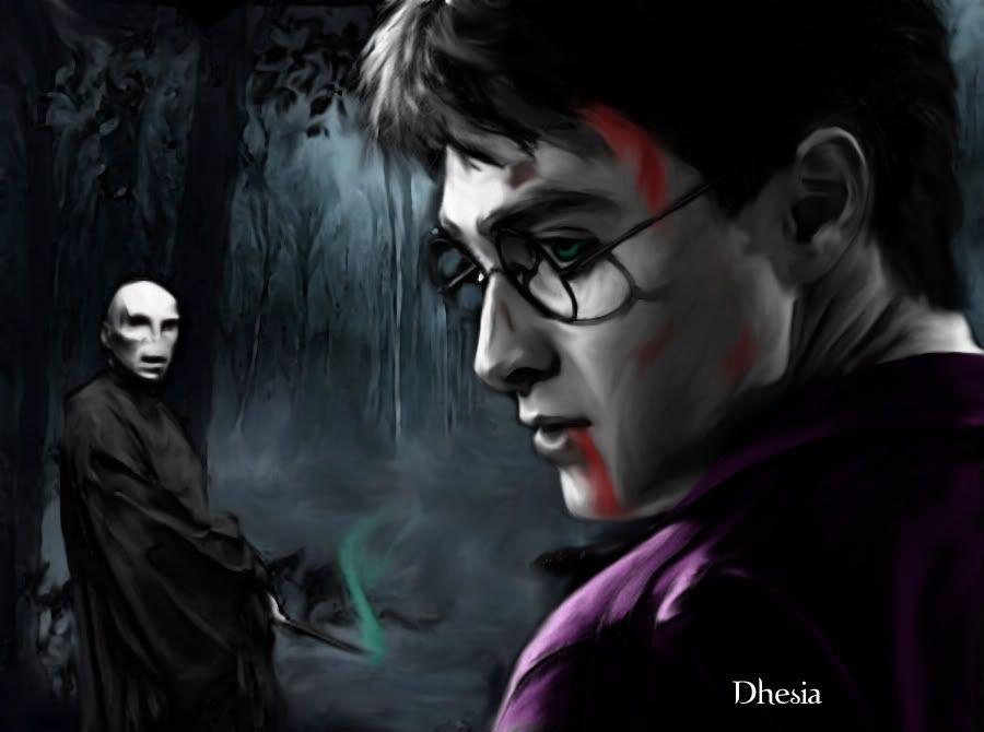harry potter and the deathly hallows harry vs voldemort. Digital art-Harry vs Voldemort