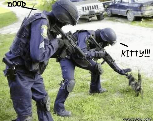 swatkitty.jpg