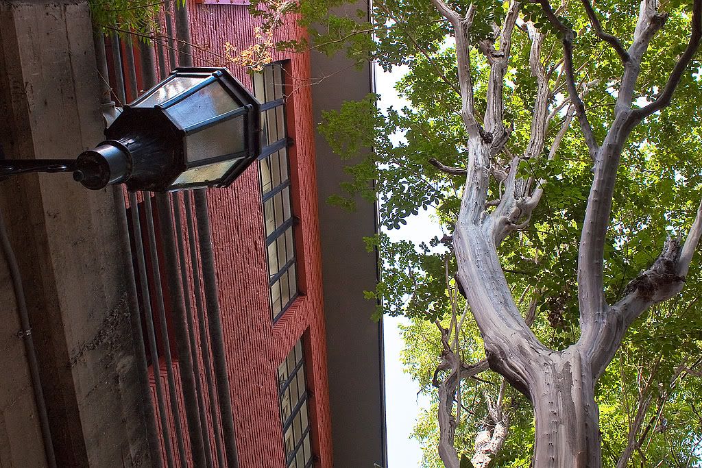 IMAGE: http://i296.photobucket.com/albums/mm190/msarge67/Riverwalk_Extension-48_edited-1.jpg