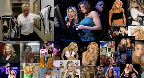 trish stratus wallpaper. Trish Stratus Wallpaper Image