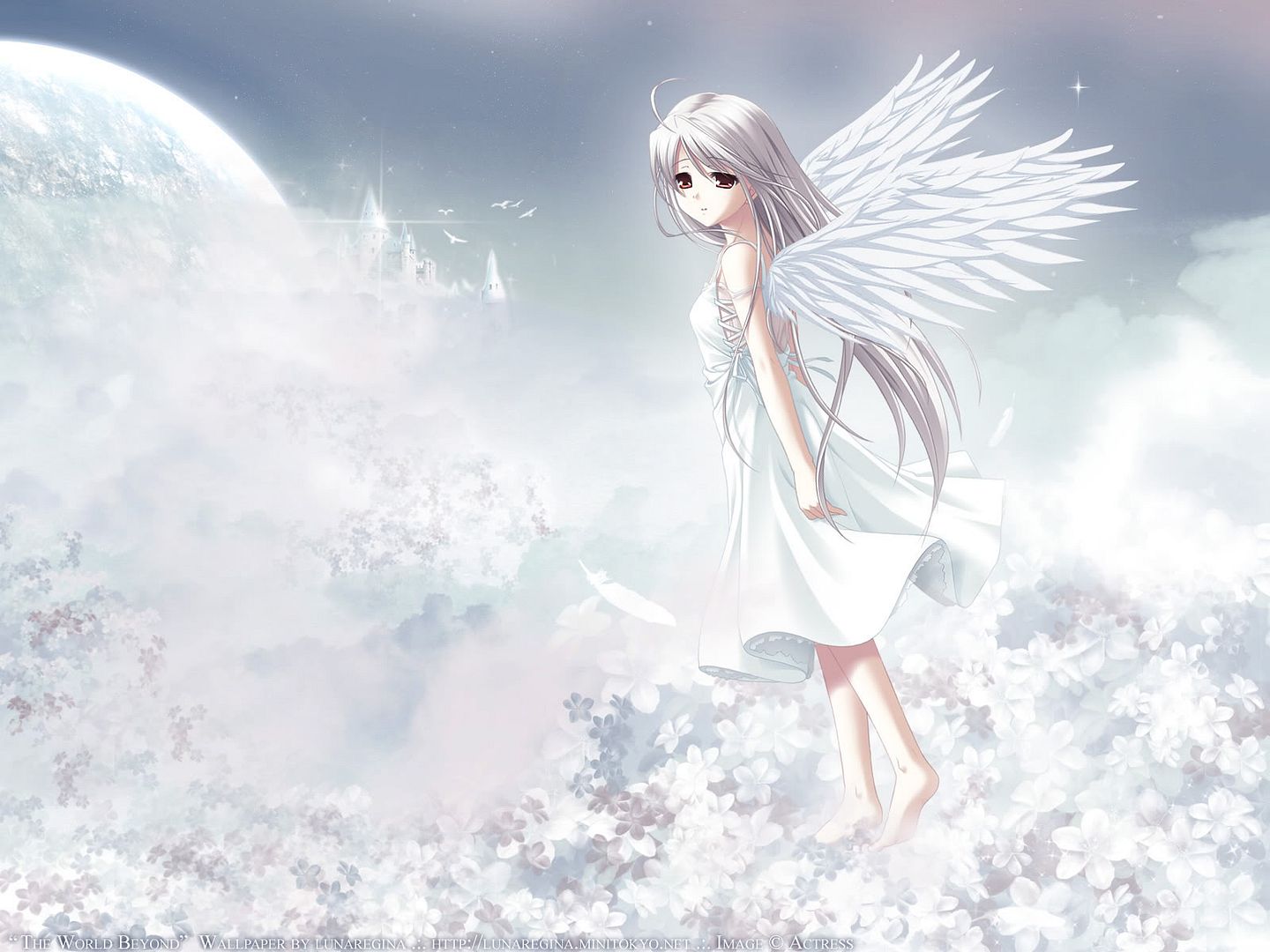 White Angel Wallpaper