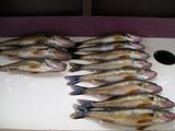 fishingpictures065.jpg image by walleye_man