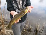 fishingpictures100.jpg image by walleye_man