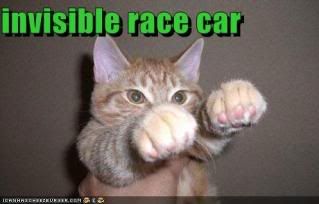 funny-pictures-cat-drives-an-invisi.jpg