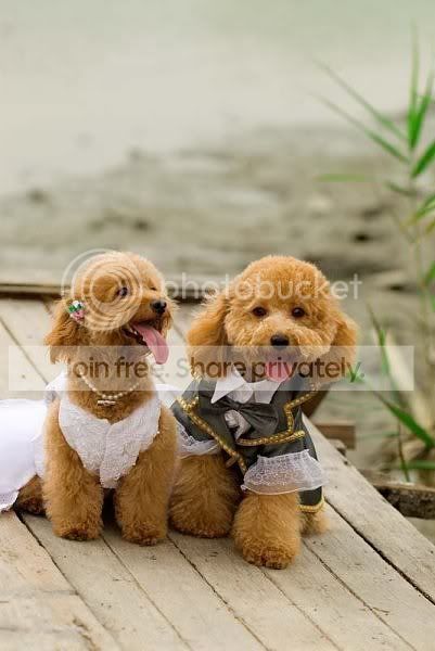 weddingcouple.jpg