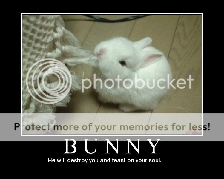 bunny.jpg Bunny image by mbach88