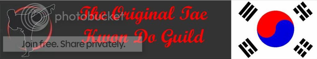 The Original Tae Kwon Do guild banner