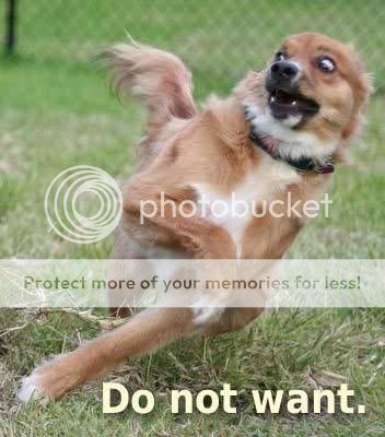 do-not-want-dog.jpg