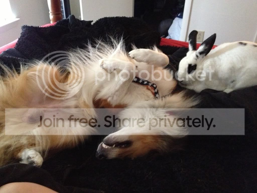  photo F739331F-ADED-44DA-AF10-A5ABC2E14AA4-198-0000002895C198D3_zpsc5b7e8ea.jpg