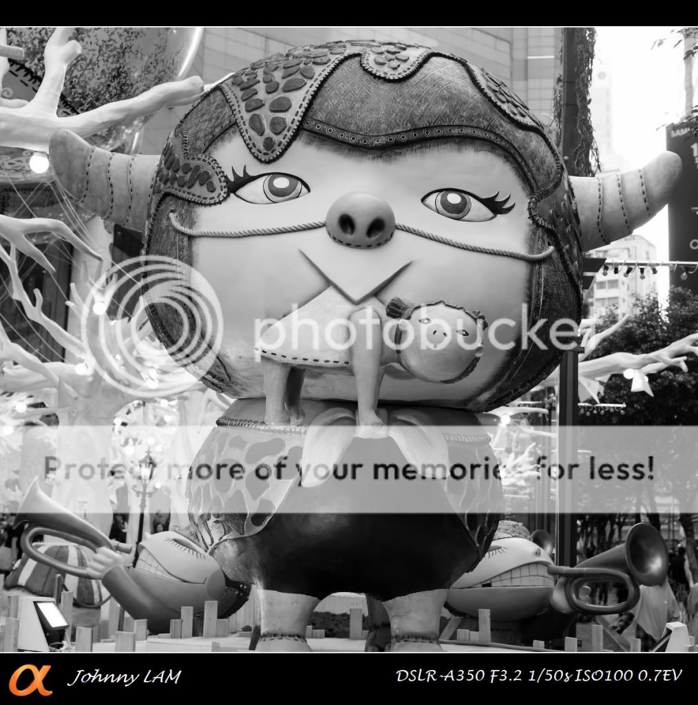 sony a350 照片分享 .