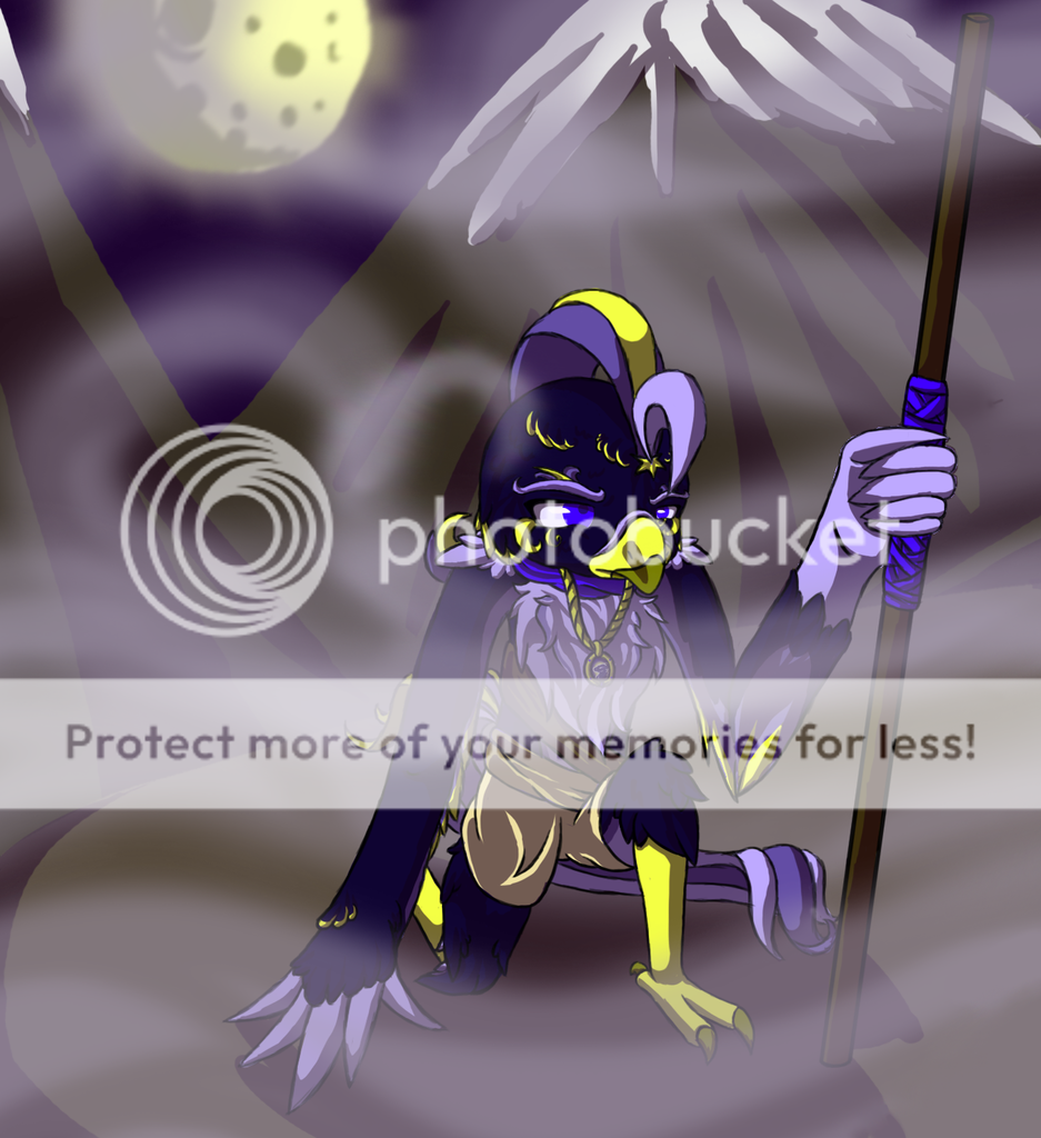 Nightfeather_Old_Image_1_zpsdzzs27ah.png